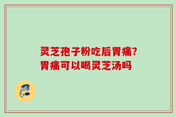 灵芝孢子粉吃后胃痛？胃痛可以喝灵芝汤吗