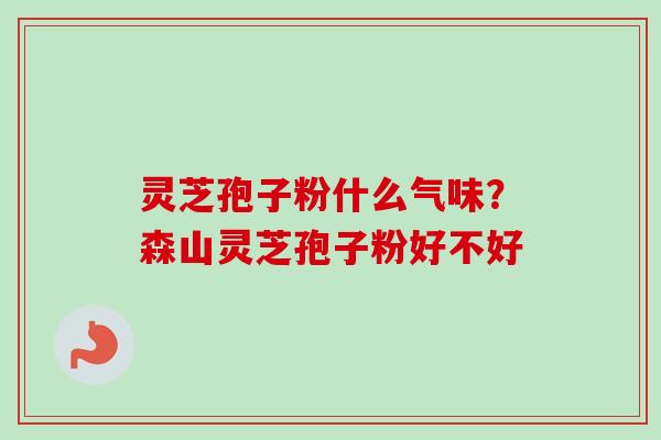 灵芝孢子粉什么气味？森山灵芝孢子粉好不好