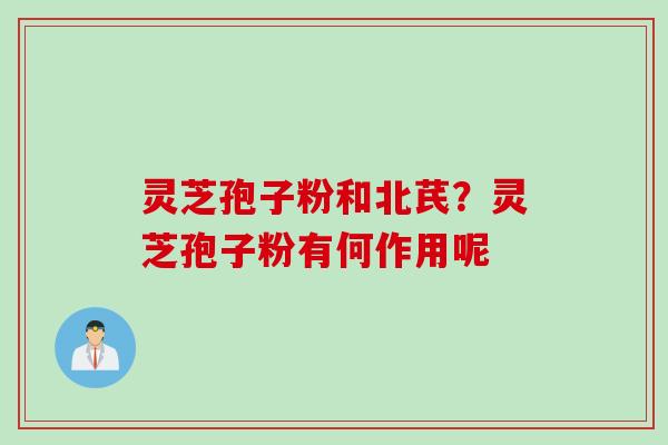 灵芝孢子粉和北芪？灵芝孢子粉有何作用呢