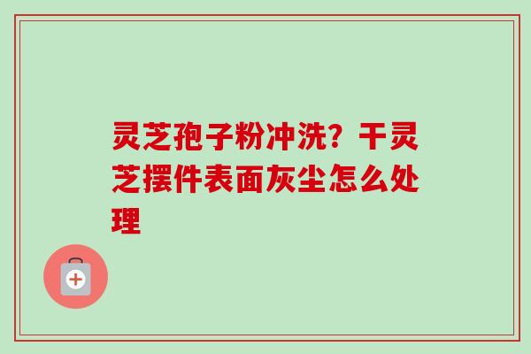 灵芝孢子粉冲洗？干灵芝摆件表面灰尘怎么处理