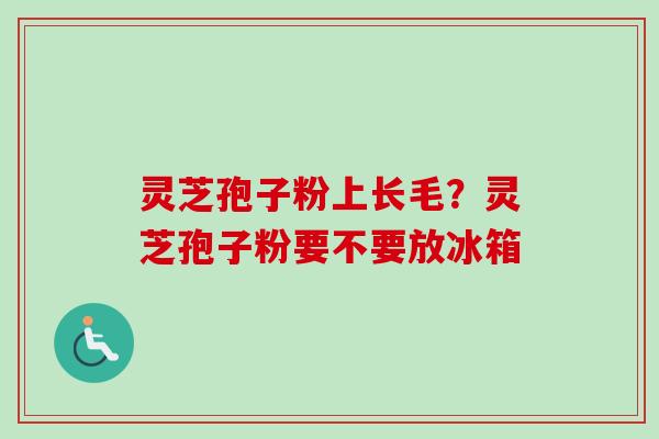 灵芝孢子粉上长毛？灵芝孢子粉要不要放冰箱
