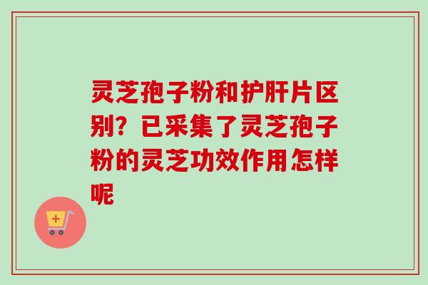 灵芝孢子粉和护肝片区别？已采集了灵芝孢子粉的灵芝功效作用怎样呢