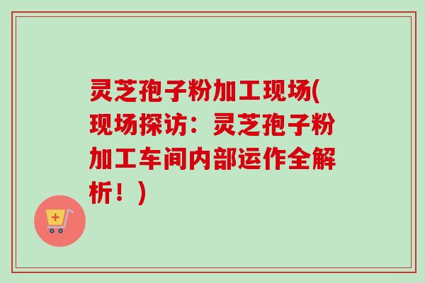 灵芝孢子粉加工现场(现场探访：灵芝孢子粉加工车间内部运作全解析！)