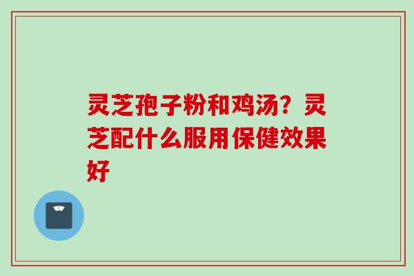 灵芝孢子粉和鸡汤？灵芝配什么服用保健效果好