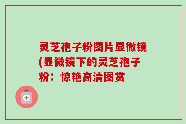 灵芝孢子粉图片显微镜(显微镜下的灵芝孢子粉：惊艳高清图赏
