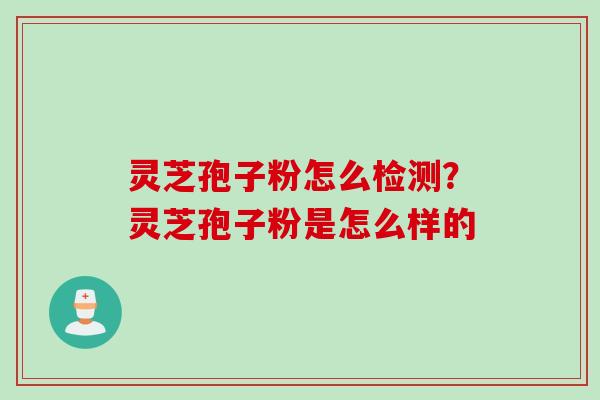 灵芝孢子粉怎么检测？灵芝孢子粉是怎么样的