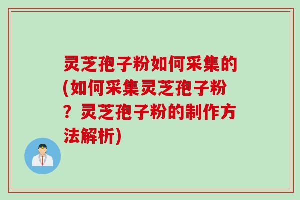灵芝孢子粉如何采集的(如何采集灵芝孢子粉？灵芝孢子粉的制作方法解析)