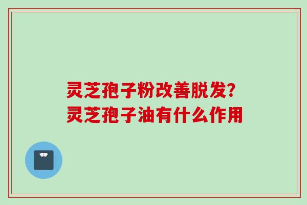 灵芝孢子粉改善?灵芝孢子油有什么作用 灵芝孢子粉改善?灵芝孢子油有什么作用