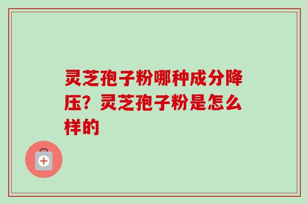灵芝孢子粉哪种成分降压？灵芝孢子粉是怎么样的