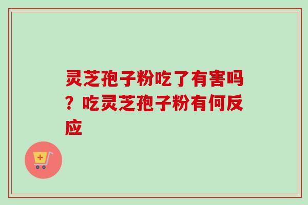灵芝孢子粉吃了有害吗？吃灵芝孢子粉有何反应