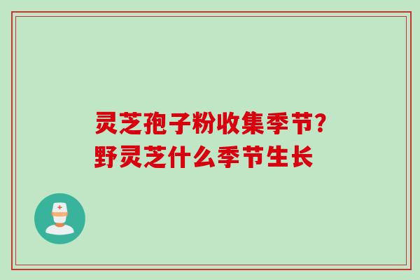 灵芝孢子粉收集季节？野灵芝什么季节生长