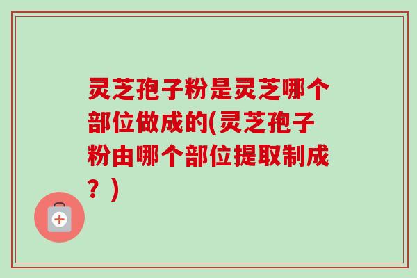 灵芝孢子粉是灵芝哪个部位做成的(灵芝孢子粉由哪个部位提取制成？)