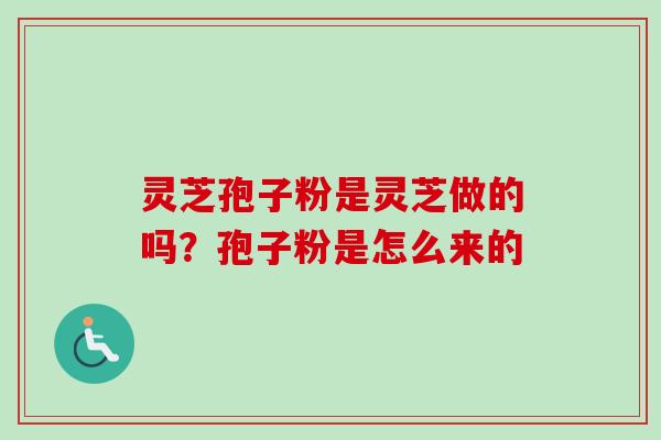 灵芝孢子粉是灵芝做的吗？孢子粉是怎么来的