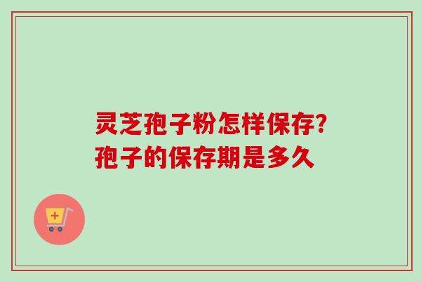 灵芝孢子粉怎样保存？孢子的保存期是多久