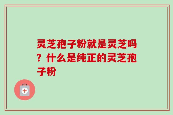 灵芝孢子粉就是灵芝吗？什么是纯正的灵芝孢子粉