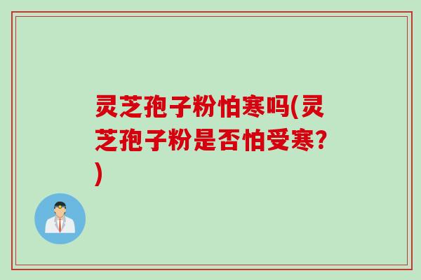 灵芝孢子粉怕寒吗(灵芝孢子粉是否怕受寒？)