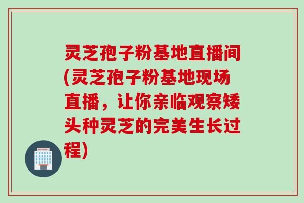 灵芝孢子粉基地直播间(灵芝孢子粉基地现场直播，让你亲临观察矮头种灵芝的完美生长过程)