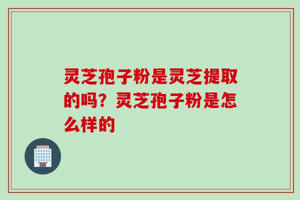 灵芝孢子粉是灵芝提取的吗？灵芝孢子粉是怎么样的