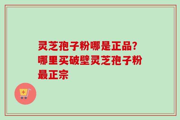 灵芝孢子粉哪是正品？哪里买破壁灵芝孢子粉最正宗
