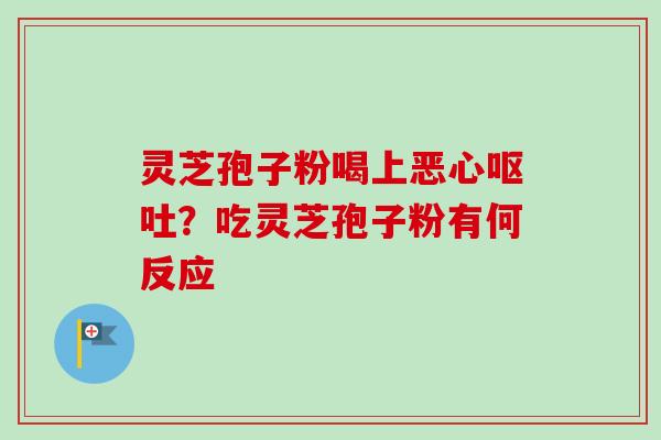 灵芝孢子粉喝上恶心呕吐？吃灵芝孢子粉有何反应