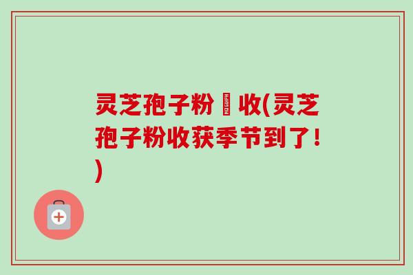 灵芝孢子粉採收(灵芝孢子粉收获季节到了！)