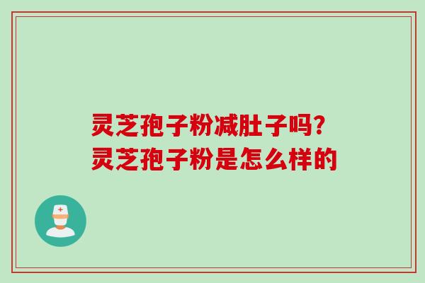 灵芝孢子粉减肚子吗？灵芝孢子粉是怎么样的