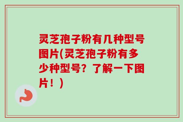 灵芝孢子粉有几种型号图片(灵芝孢子粉有多少种型号？了解一下图片！)