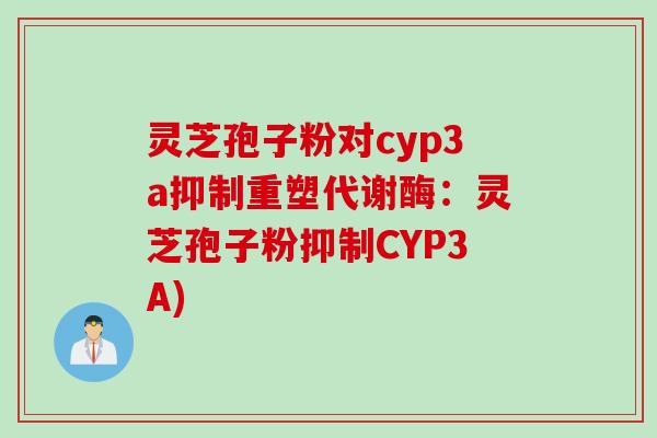 灵芝孢子粉对cyp3a抑制重塑代谢酶：灵芝孢子粉抑制CYP3A)