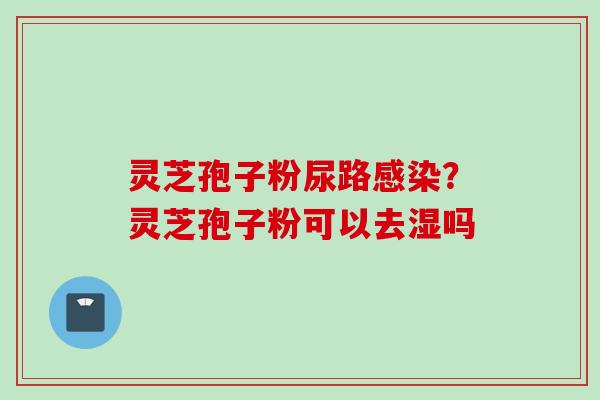 灵芝孢子粉尿路感染？灵芝孢子粉可以去湿吗