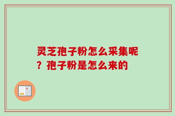 灵芝孢子粉怎么采集呢?孢子粉是怎么来的 灵芝孢子粉怎么采集呢?孢子粉是怎么来的