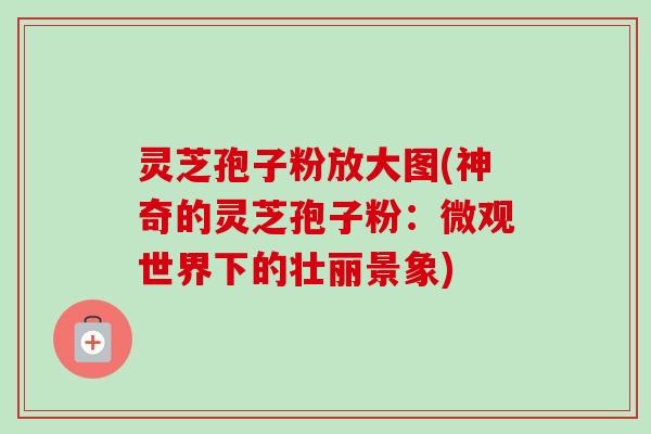 灵芝孢子粉放大图(神奇的灵芝孢子粉：微观世界下的壮丽景象)