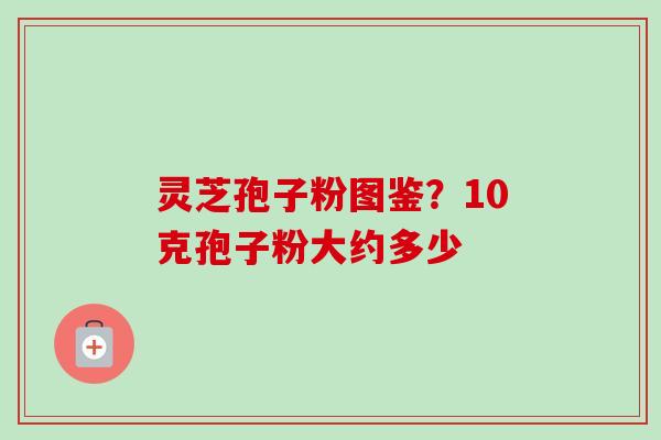 灵芝孢子粉图鉴？10克孢子粉大约多少