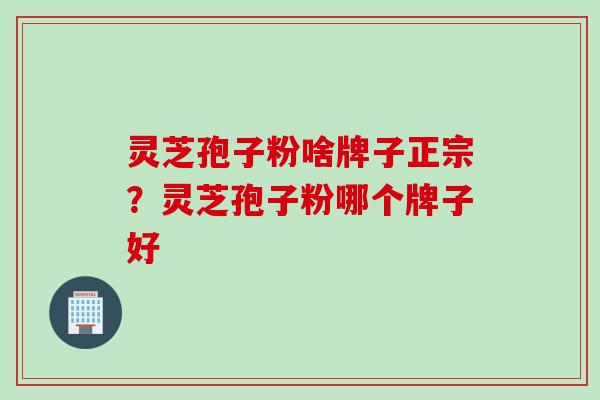灵芝孢子粉啥牌子正宗？灵芝孢子粉哪个牌子好