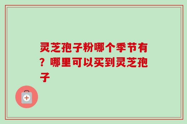 灵芝孢子粉哪个季节有？哪里可以买到灵芝孢子