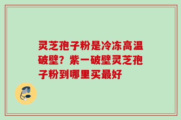 灵芝孢子粉是冷冻高温破壁？紫一破壁灵芝孢子粉到哪里买最好