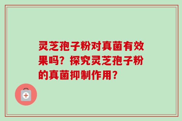灵芝孢子粉对真菌有效果吗？探究灵芝孢子粉的真菌抑制作用？