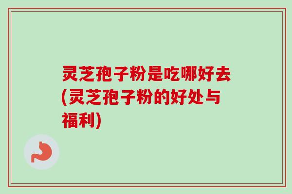 灵芝孢子粉是吃哪好去(灵芝孢子粉的好处与福利)