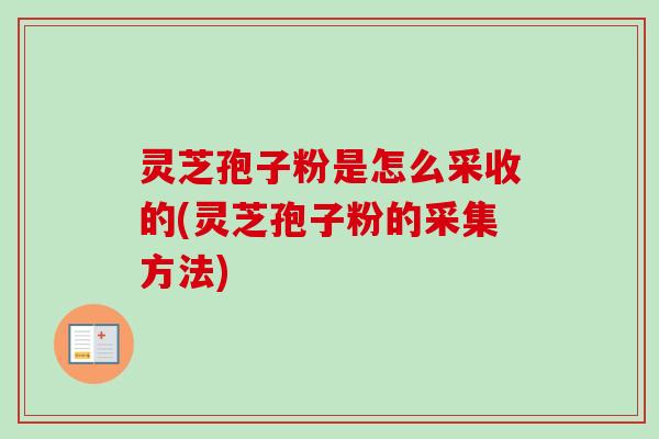 灵芝孢子粉是怎么采收的(灵芝孢子粉的采集方法)