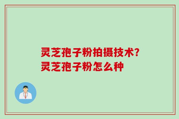 灵芝孢子粉拍摄技术？灵芝孢子粉怎么种