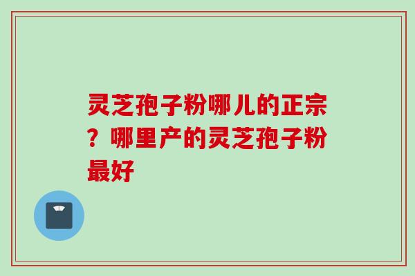 灵芝孢子粉哪儿的正宗？哪里产的灵芝孢子粉最好