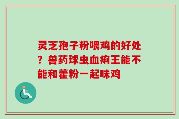 灵芝孢子粉喂鸡的好处?兽药球虫痢王能不能和藿粉一起味鸡 灵芝孢子粉喂鸡的好处?兽药球虫痢王能不能和藿粉一起味鸡