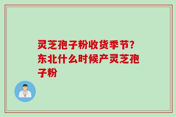 灵芝孢子粉收货季节？东北什么时候产灵芝孢子粉