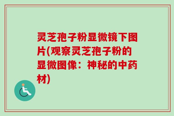 灵芝孢子粉显微镜下图片(观察灵芝孢子粉的显微图像：神秘的中药材)