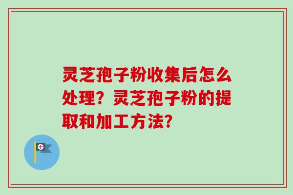 灵芝孢子粉收集后怎么处理？灵芝孢子粉的提取和加工方法？