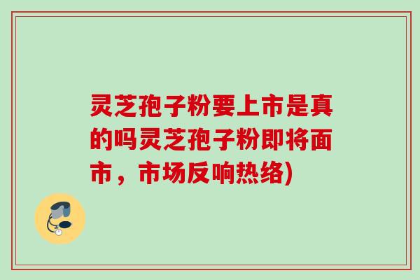 灵芝孢子粉要上市是真的吗灵芝孢子粉即将面市，市场反响热络)
