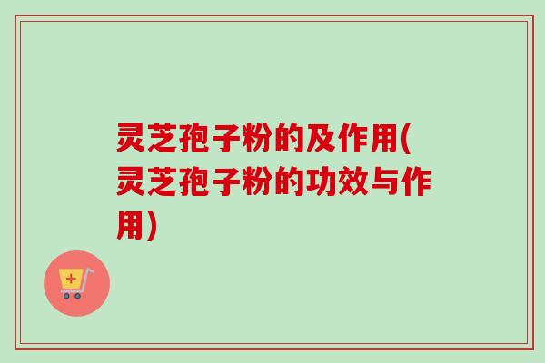 灵芝孢子粉的及作用(灵芝孢子粉的功效与作用)