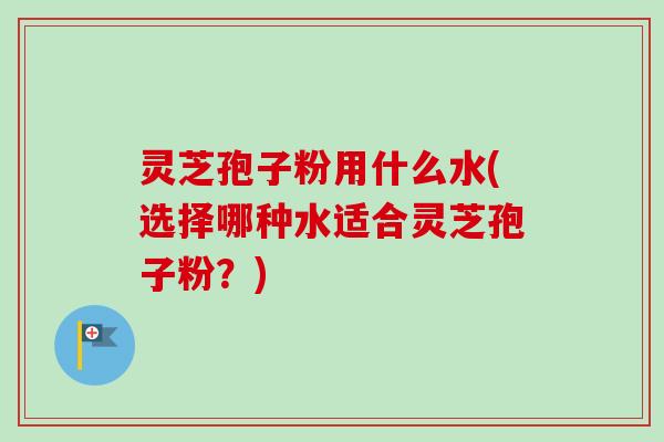 灵芝孢子粉用什么水(选择哪种水适合灵芝孢子粉?) 灵芝孢子粉用什么水(选择哪种水适合灵芝孢子粉?)