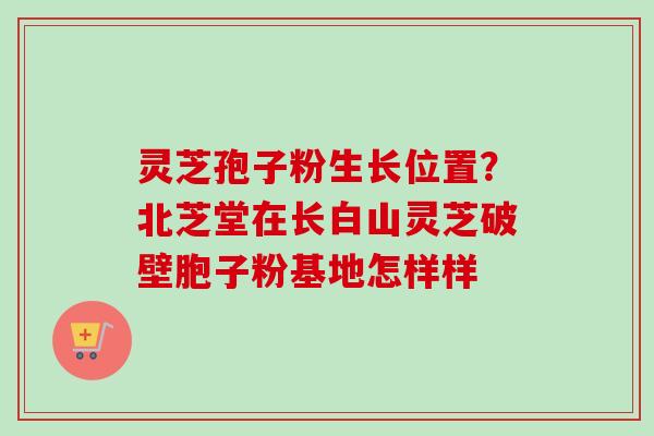 灵芝孢子粉生长位置？北芝堂在长白山灵芝破壁胞子粉基地怎样样