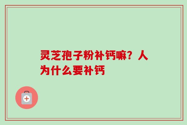 灵芝孢子粉补钙嘛？人为什么要补钙