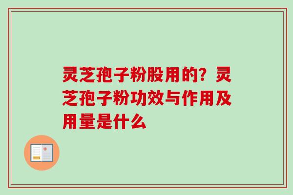 灵芝孢子粉股用的？灵芝孢子粉功效与作用及用量是什么
